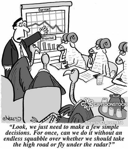 fly under the radar cartoon