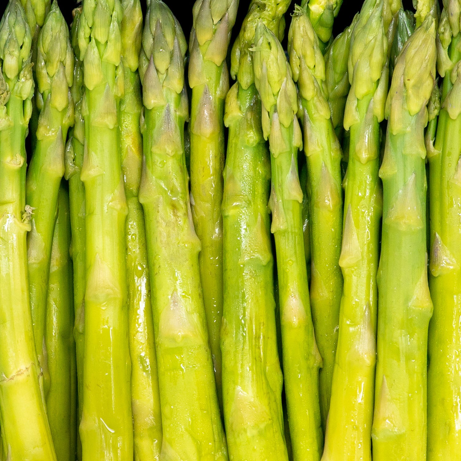 Asparagus