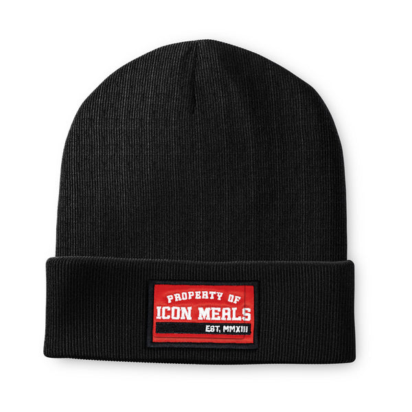 ICON Beanie
